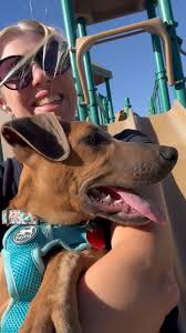 Blitzen is all set for a fun night out