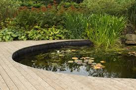Der Gartenteich Ein Highlight Und Biotop Ratgeber Haus Garten Hinterhof Garten Gartenteich Garten