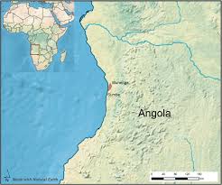 Image result for Uvaria angolensis