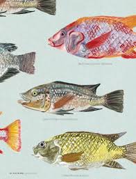 Fish Farming (New, With Animal Welfare Information) | Infonet Biovision  Home.