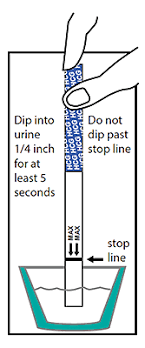 A plain toothpaste is required since colors or flavors. Pregnancy Test Strip Instructions Early Pregnancy Tests Com