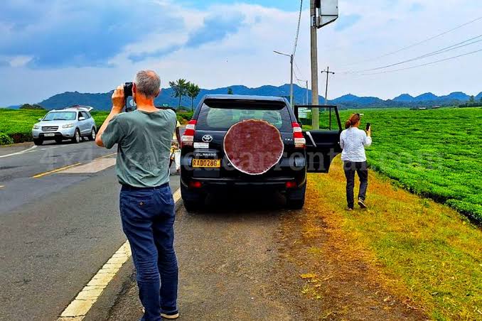 Visit Nyungwe Forest National Park with Rwanda Rent Car