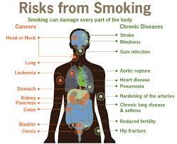 But islam does not forbid love. Is Smoking Cigarettes Haram And A Sin In Islam Quora