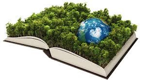 Resultado de imagen para DERECHO AMBIENTAL