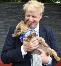 On saturday 29 may, the wedding of carrie symonds and boris. Boris Johnson And Carrie Symonds Are Planning To Get A Dog To Live With Them At Downing Street