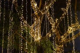 All the search results for 'battery powered christmas' are shown to help you, we can recommend these related keywords. The 5 Best Battery Operated Outdoor Christmas Lights In 2020