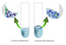 Cohesive and Adhesive Forces - Chemistry LibreTexts