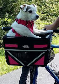 Looking for a practical dog basket for your pet pooch that attaches to the rear of your bike? 5 Of The Best Dog Bike Baskets To Safely Take Your Dog Cycling In 2021 Average Joe Cyclist