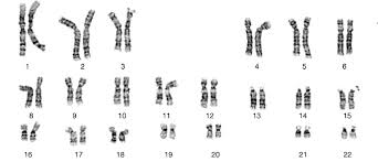 We did not find results for: 2