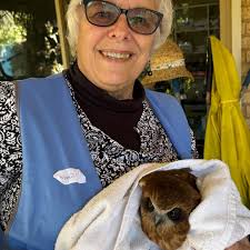 Has anyone in the Cloverdale area lost a domestic duck?