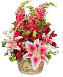 Maybe you would like to learn more about one of these? 100 Lovable Basket Of Flowers In Greenfield Ma Floral Affairs