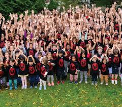 Image result for Shira Red 2015 A1