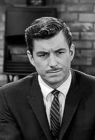 The Dick Van Dyke Show" The Lady and the Tiger and the Lawyer (TV Episode  1964)