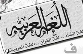 اللغة العربية والثقافة الإسلامية في السنغال 2