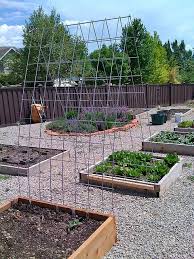 When it comes to trellis ideas there are tons of options, so get creative with it. Trellis I Made From Cattle Panel For The Cucumbers Plants Garden Trellis Backyard