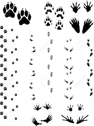 paw prints and tracks of five different animals top row left