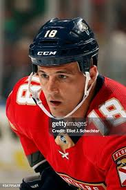 136 Micheal Haley Ice Hockey Player Stock Photos, High-Res Pictures, and  Images