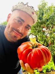 What are your tips for growing huge tomatoes?