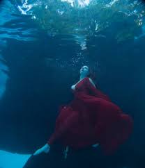 Get critiques, tips & advice; Submerge Yourself In The Basics Of Underwater Photography