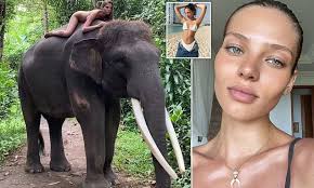 Alesya kafelnikova (instagram @kafelnikova_a) share: Russian Influencer Is Condemned By Animal Group For Posing Naked On An Elephant Daily Mail Online