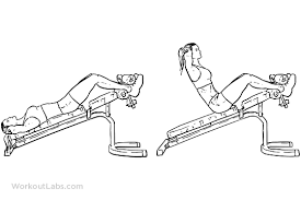 Decline Bench Crunches Sit Ups Bench Workout Fast Workouts No Equipment Workout
