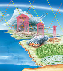 Ernst Klett Verlag Lehrwerk Online Terra Geschichte Erdkunde Politik Online Schulbucher Lehrmaterialien Und Lernmaterialien