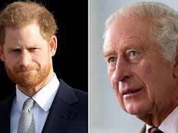 Prince Harry's telling gesture hints how King Charles meeting in UK went