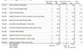 50 all inclusive beagle puppy weight chart