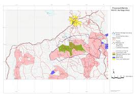 Image result for Triaspis dumeticola
