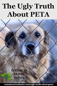 7 things your deceased pet wants you to know. The Ugly Truth About Peta They Re Not What You Might Think