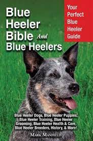 We did not find results for: Blue Heeler Bible And Blue Heelers Your Perfect Blue Heeler Guide Blue Heeler Dogs Blue Heeler Puppies Blue Heeler Training Blue Heeler Grooming Blue Heeler Health Care Blue Heeler Breeders