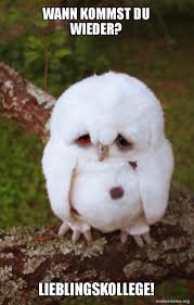 Provided to youtube by universal music groupwann kommst du wieder · nockalm quintettgeh niemals fort℗ 1989 electrola, a division of universal music. Wann Kommst Du Wieder Lieblingskollege Sad Owl Make A Meme