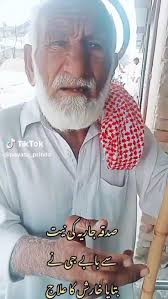 Syed Sajjad Hashmi (sajjadhashmi300)