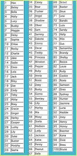 Cartoon inspired names for female dogs. Inloggen Downloaden Cute Dogs Name Ideas Cutedog0278 Verzameling Van Cute Pet Care 14 Pins 14 Volgers 4 Jaar Geleden Laatst Bijgewerkt Unique Puppy Names Schattige Baby Namen Meisjesnamen Creatief Schrijven Tips Schrijfaanwijzingen