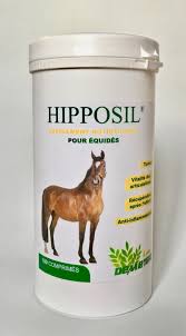 La tendinite, ça fait mal au cheval et peur au cavalier. Tendinite Du Cheval Optez Pour Un Traitement Naturel