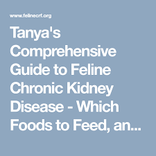 Tanya S Comprehensive Guide To Feline Chronic Kidney Disease Which Foods To Feed And Which To Chronic Kidney Disease Kidney Disease Kidney Disease Symptoms