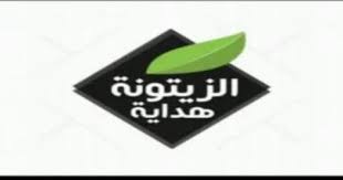 تردد قناة الزيتونة هداية Zitouna Tv تردد قناة الزيتونة نايل سات 2020 Enamel Pins