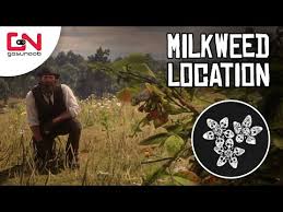Red Dead Online Milkweed Location 5 Milkweed Picked Daily Challenge Youtube