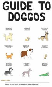 doggo chart album on imgur