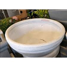 Maybe you would like to learn more about one of these? White Round Stone Bonsai Pot Rs 2250 Piece Plant A Home Id 20545682155