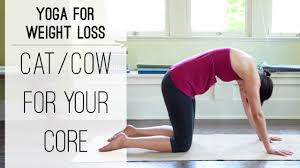 Want to discover art related to cow_cat? Cat Cow Variations Yoga For Weight Loss