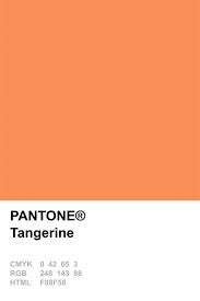 Pantone Farben Einrichtungsideen Minimalismus Design Modernes Design Des Des Design Einrichtungs In 2020 Pantone Colour Palettes Pantone Orange Pantone