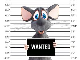 For single visits, healy says exodus pest control has a pricing structure based on size of home and pest. Merle S Pest Control Service Eugene Eugene Pest Control Comapny