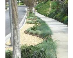 Urban Landscape Parkway Google Search Drought Tolerant Landscape Landscape Design Drought Tolerant Garden