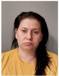 Traffic stop leads to arrest in Arena