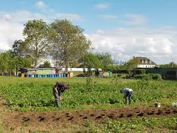 Sous La Ville Les Champs Paris Zigzag Insolite Secret