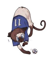 Embedded Doctor Cat Doctor Who Art Doctor Who