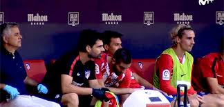 The best gifs are on giphy. No Lo Puedes Entender This Is What Happens When You Bench Antoine