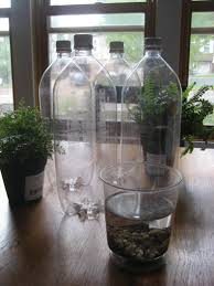 Learn more about the aquascape ecosystem. Bottle Biospheres