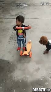 Little people, big world's next generation: Pin On Hunde